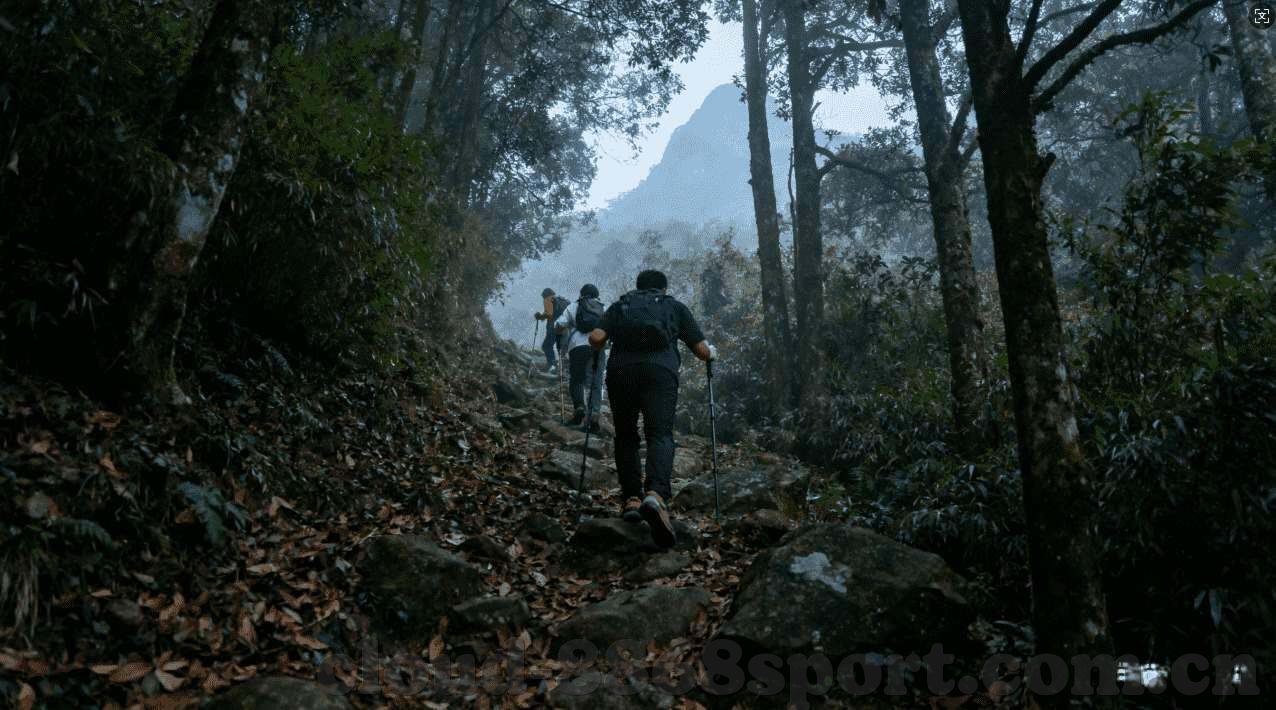 水果机手游-水果机手游，休闲时光中的趣味挑战